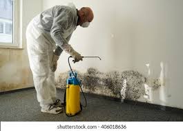 Mold Documentation for Insurance Claims in Decordova, TX